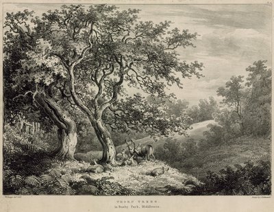 Arbres épineux dans Bushy Park, Middlesex - William Burges